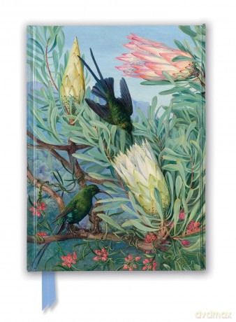 Kew Gardens' Marianne North: Honeyflowers and Honeysuckers (Foiled Journal) (Flame Tree Notebooks) - Flame Tree Studio [KALENDARZ]