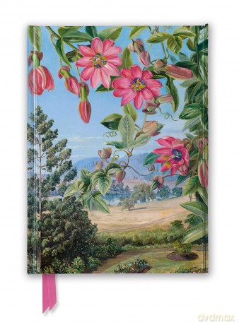 Kew Gardens' Marianne North: View in the Brisbane Botanic Garden (Foiled Journal) (Flame Tree Notebooks) - Flame Tree Studio [KALENDARZ]
