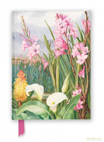 Kew Gardens: Marianne North: Beauties of the Swamps at Tulbagh (Foiled Journal) (Flame Tree Notebooks) - Flame Tree Studio [KALENDARZ]