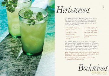 Kindred Spirits: Cocktails for Two - Stephanie Wahler [KSIĄŻKA]