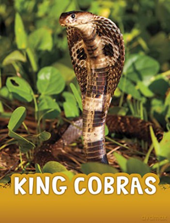 King Cobras (Animals) - Jaclyn Jaycox [KSIĄŻKA]