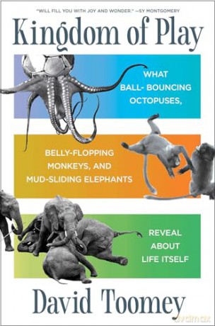 Kingdom of Play: What Ball-Bouncing Octopuses, Belly-Flopping Monkeys, and Mud-Sliding Elephants Reveal about Life Itself - David Toomey [KSIĄŻKA]