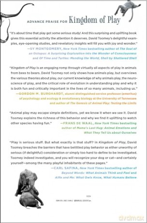 Kingdom of Play: What Ball-Bouncing Octopuses, Belly-Flopping Monkeys, and Mud-Sliding Elephants Reveal about Life Itself - David Toomey [KSIĄŻKA]