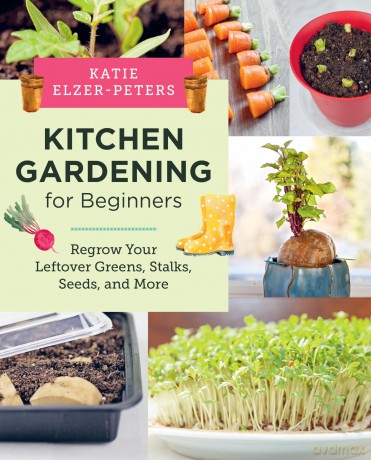 Kitchen Gardening for Beginners: Regrow Your Leftover Greens, Stalks, Seeds, and More - Katie Elzer-Peters [KSIĄŻKA]