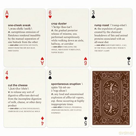 Knock Knock 52 Farts Playing Cards Deck, Adult-Humor Playing Cards (AKA Not Kiddo Friendly!): Playing Card Set - Knock Knock [KSIĄŻKA]