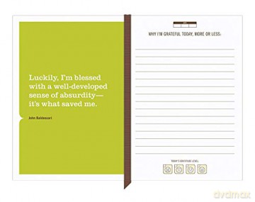 Knock Knock Okay Fine, I'm Grateful Inner-Truth Journal (Small, 4 x 5.75-inches): Mini Inner-Truth Journal - Knock Knock [KSIĄŻKA]