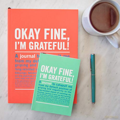 Knock Knock Okay Fine, I'm Grateful Inner-Truth Journal (Small, 4 x 5.75-inches): Mini Inner-Truth Journal - Knock Knock [KSIĄŻKA]