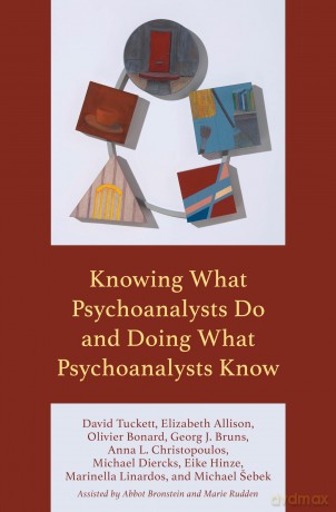 Knowing What Psychoanalysts Do and Doing What Psychoanalysts Know - David Tuckett [KSIĄŻKA]