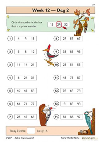 KS2 Mental Maths Year 5 Daily Practice Book: Summer Term (CGP Year 5 Daily Workbooks) - CGP Books [KSIĄŻKA]