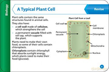 KS3 Science Revision Question Cards: Prepare for Secondary School (Collins KS3 Revision) - Collins Ks3 [KSIĄŻKA]