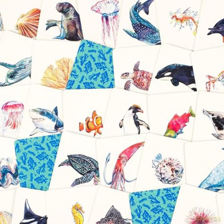 Laurence King Publishing Orion 9781399605762 Fish ocean Cards, Multi - Mike Unwin [KSIĄŻKA]