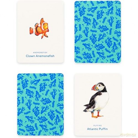 Laurence King Publishing Orion 9781399605762 Fish ocean Cards, Multi - Mike Unwin [KSIĄŻKA]