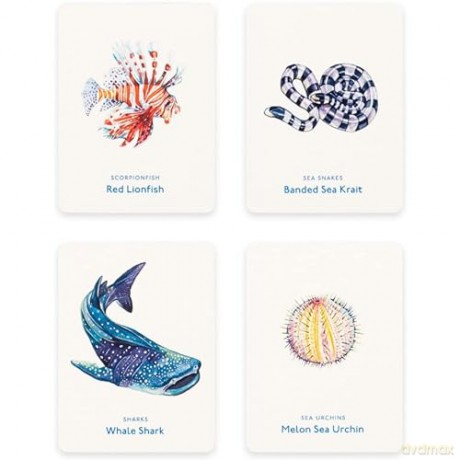 Laurence King Publishing Orion 9781399605762 Fish ocean Cards, Multi - Mike Unwin [KSIĄŻKA]