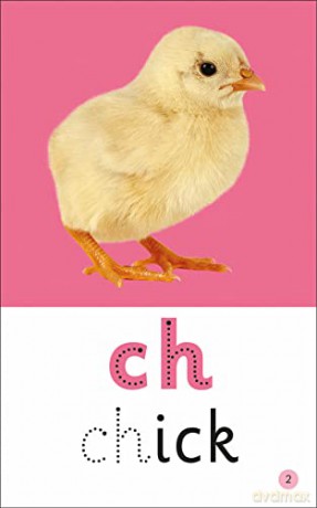 Learn To Read and Write Phonics (Activity Flash Cards) - Priddy Books [KSIĄŻKA]