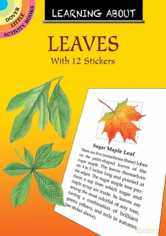 Learning About Leaves: With 12 Stickers (Little Activity Books) - Dot Barlowe [KSIĄŻKA]