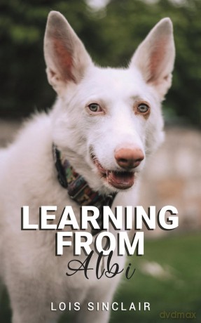 Learning from Albi - Lois Sinclair [KSIĄŻKA]