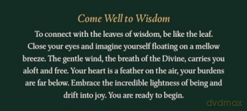 Leaves of Wisdom: 55 Cards of Soulful Reflections by Walt Whitman - 55 cards + instruction card: 55 Cards of Soulful Reflections by Whalt Whitman - Walt Whitman [KSIĄŻKA]