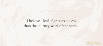 Leaves of Wisdom: 55 Cards of Soulful Reflections by Walt Whitman - 55 cards + instruction card: 55 Cards of Soulful Reflections by Whalt Whitman - Walt Whitman [KSIĄŻKA]