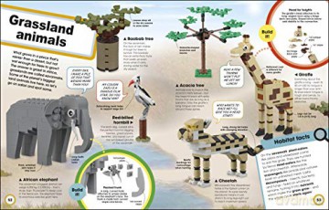 LEGO Super Nature: Includes Four Exclusive LEGO Mini Models - Rona Skene [KSIĄŻKA]