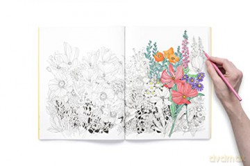 Leila Duly's Beautiful Planet: An Intricate Colouring Book - Leila Duly [KSIĄŻKA]
