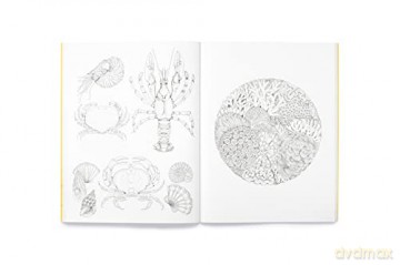 Leila Duly's Beautiful Planet: An Intricate Colouring Book - Leila Duly [KSIĄŻKA]