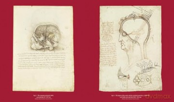 Leonardo da Vinci and Anatomy: The Mechanics of Life - Dominique Le Nen [KSIĄŻKA]