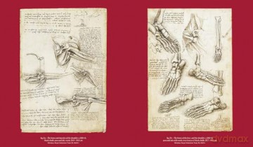 Leonardo da Vinci and Anatomy: The Mechanics of Life - Dominique Le Nen [KSIĄŻKA]