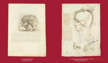 Leonardo da Vinci and Anatomy: The Mechanics of Life - Dominique Le Nen [KSIĄŻKA]
