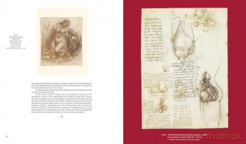 Leonardo da Vinci and Anatomy: The Mechanics of Life - Dominique Le Nen [KSIĄŻKA]