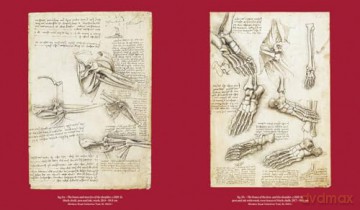 Leonardo da Vinci and Anatomy: The Mechanics of Life - Dominique Le Nen [KSIĄŻKA]