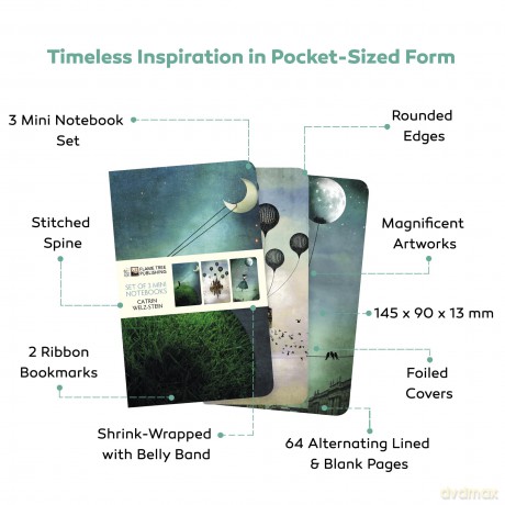 Leonardo da Vinci Set of 3 Mini Notebooks (Mini Notebook Collections) - Flame Tree Studio [KSIĄŻKA]