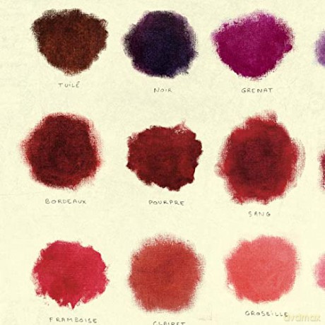 Les Robes du Vin [KSIĄŻKA]