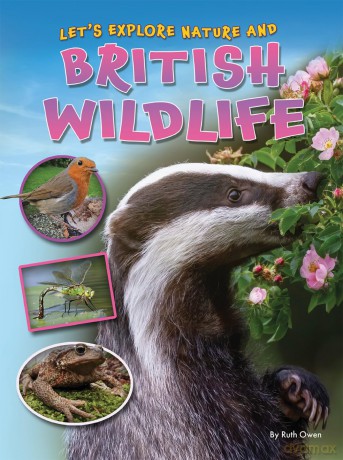 Let's Explore British Wildlife (Let's Explore Nature and British Wildlife) - Ruth Owen [KSIĄŻKA]