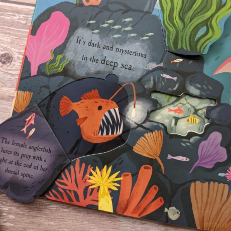 Let'S Explore the Ocean (Nature Die-Cut Books) - Laura Garnerburt [KSIĄŻKA]