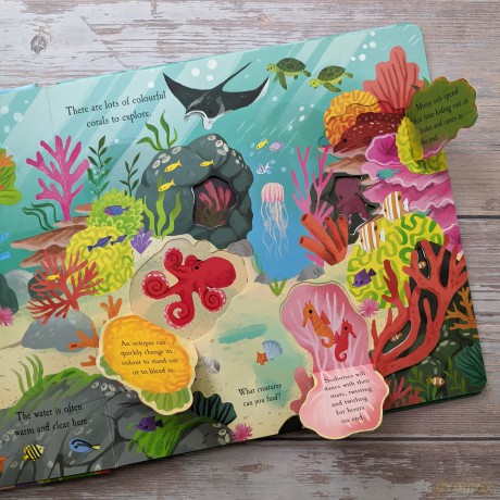 Let'S Explore the Ocean (Nature Die-Cut Books) - Laura Garnerburt [KSIĄŻKA]