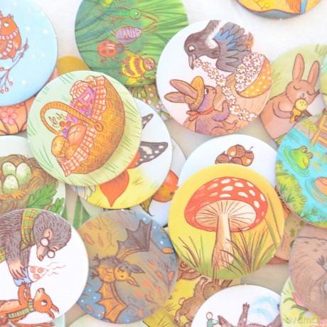 Let's Go on a Nature Hunt - Rachel Piercey [KSIĄŻKA]