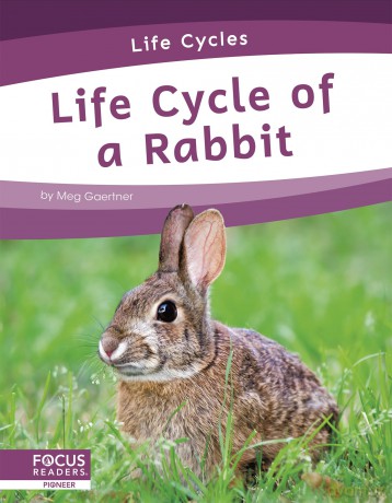 Life Cycle of a Rabbit (Life Cycles) - Meg Gaertner [KSIĄŻKA]