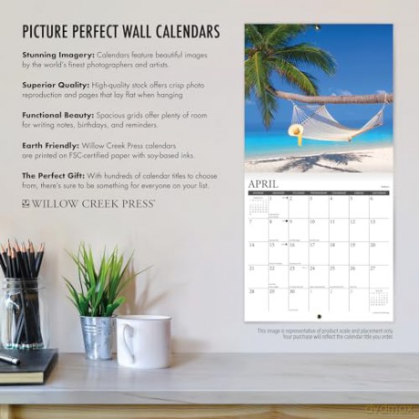 Life Is Crazy, But So Am I 2024 12 X 12 Wall Calendar - Shannon Snow [KALENDARZ]