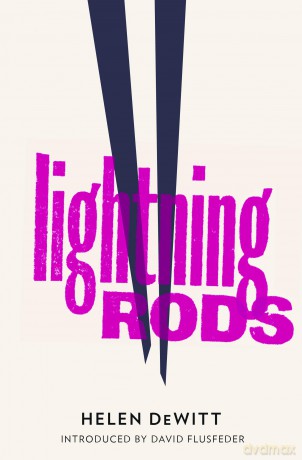 Lightning Rods: Shortlisted for the 2013 Bollinger Everyman Wodehouse Prize for comic fiction - Helen DeWitt [KSIĄŻKA]