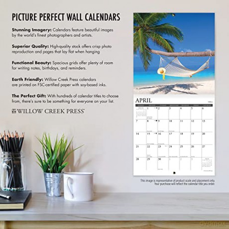 Litterary Kitties 2024 12 X 12 Wall Calendar - Willow Creek Press [KALENDARZ]