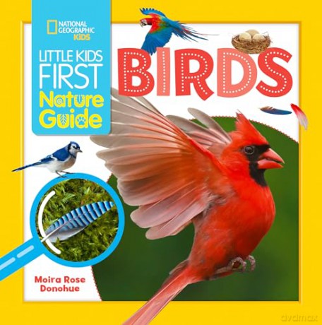 Little Kids First Nature Guide Birds - Moira Rose Donohue [KSIĄŻKA]