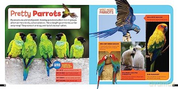 Little Kids First Nature Guide Birds - Moira Rose Donohue [KSIĄŻKA]