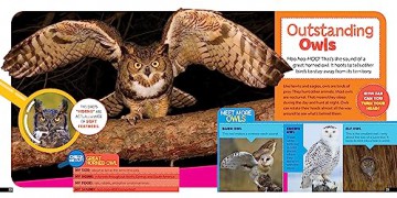 Little Kids First Nature Guide Birds - Moira Rose Donohue [KSIĄŻKA]