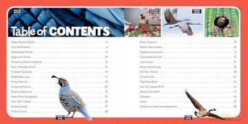 Little Kids First Nature Guide Birds - Moira Rose Donohue [KSIĄŻKA]
