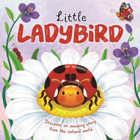 Little Ladybird (An illustrated story about the life-cycle of a ladybird) [KSIĄŻKA]