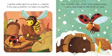 Little Ladybird (An illustrated story about the life-cycle of a ladybird) [KSIĄŻKA]