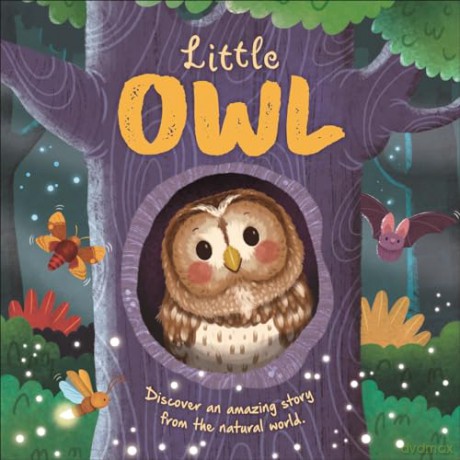 Little Owl (An illustrated story about the life-cycle of an owl) [KSIĄŻKA]