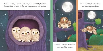 Little Owl (An illustrated story about the life-cycle of an owl) [KSIĄŻKA]