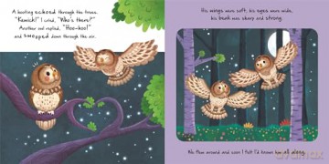 Little Owl (An illustrated story about the life-cycle of an owl) [KSIĄŻKA]