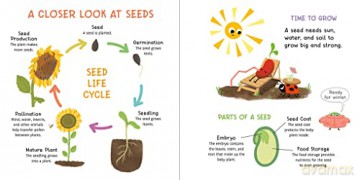 Little Seasons: Spring Seeds - Hokkanen [KSIĄŻKA]